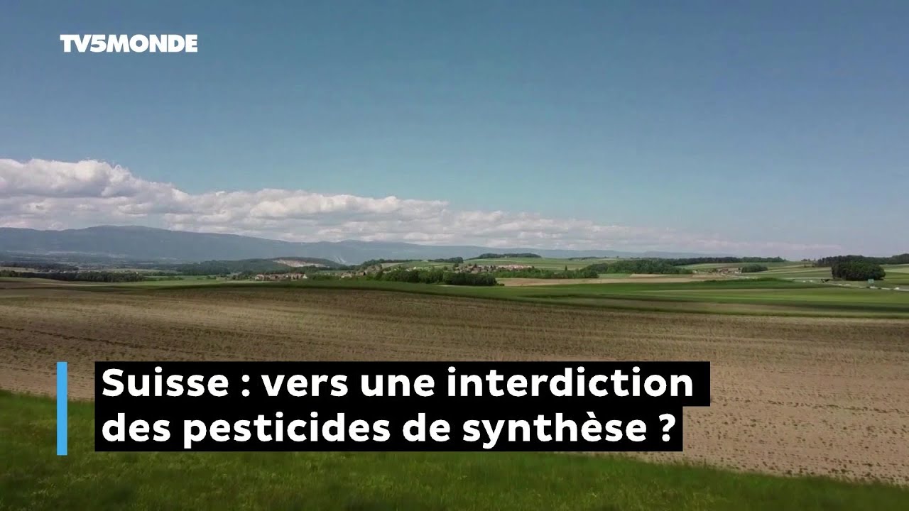 Suisse : vers une interdiction des pesticides de synthèse ?