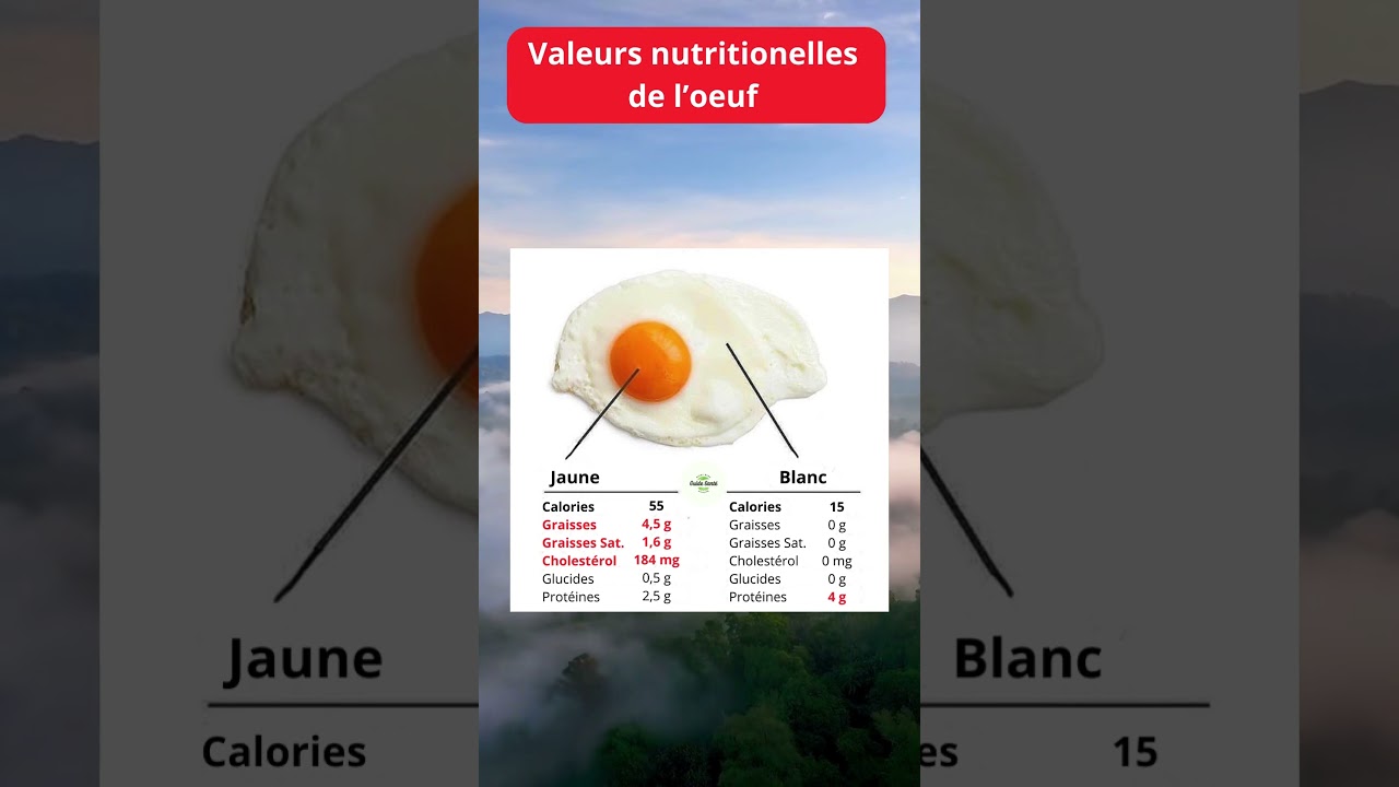 Valeur nutritionnelle de l’œuf