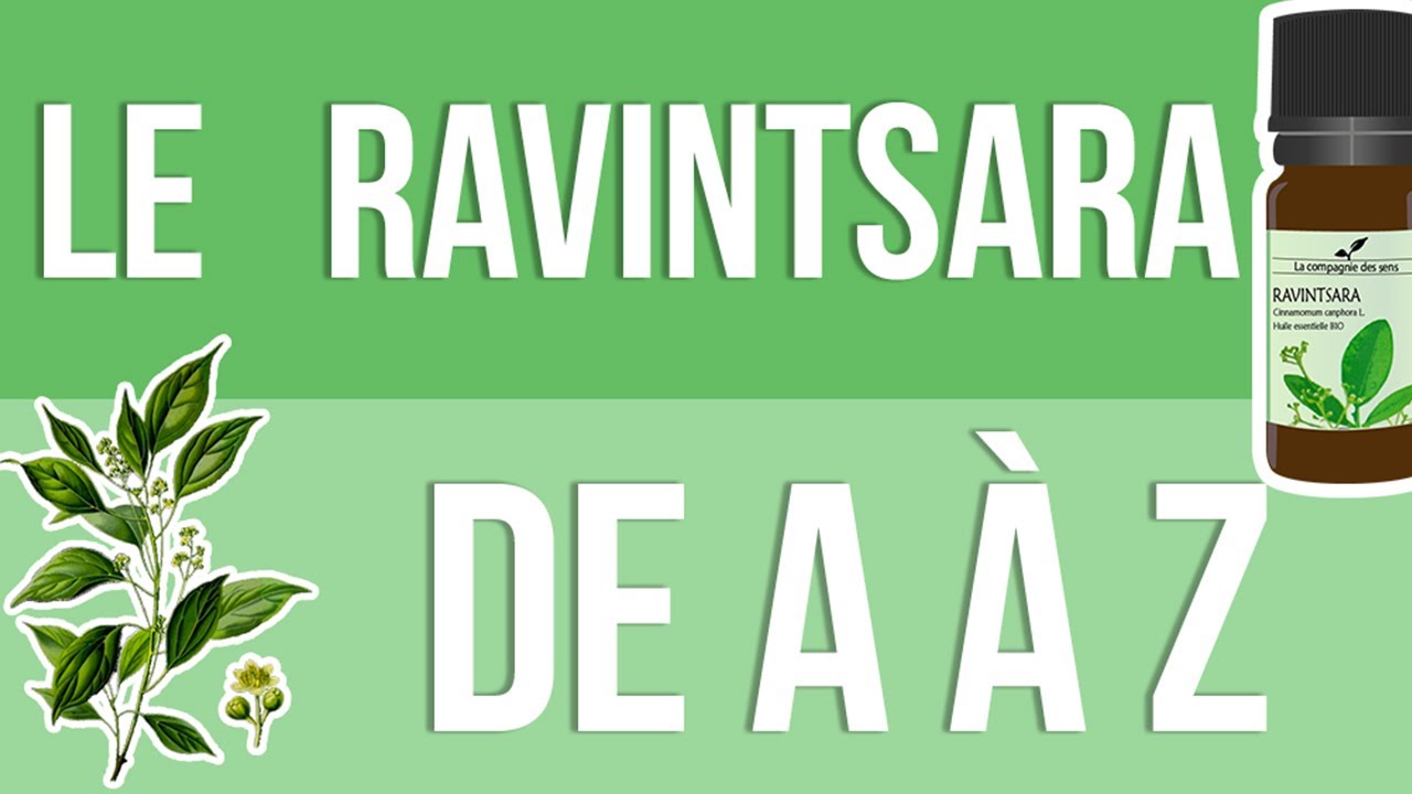 [HUILES ESSENTIELLES] À la découverte du Ravintsara