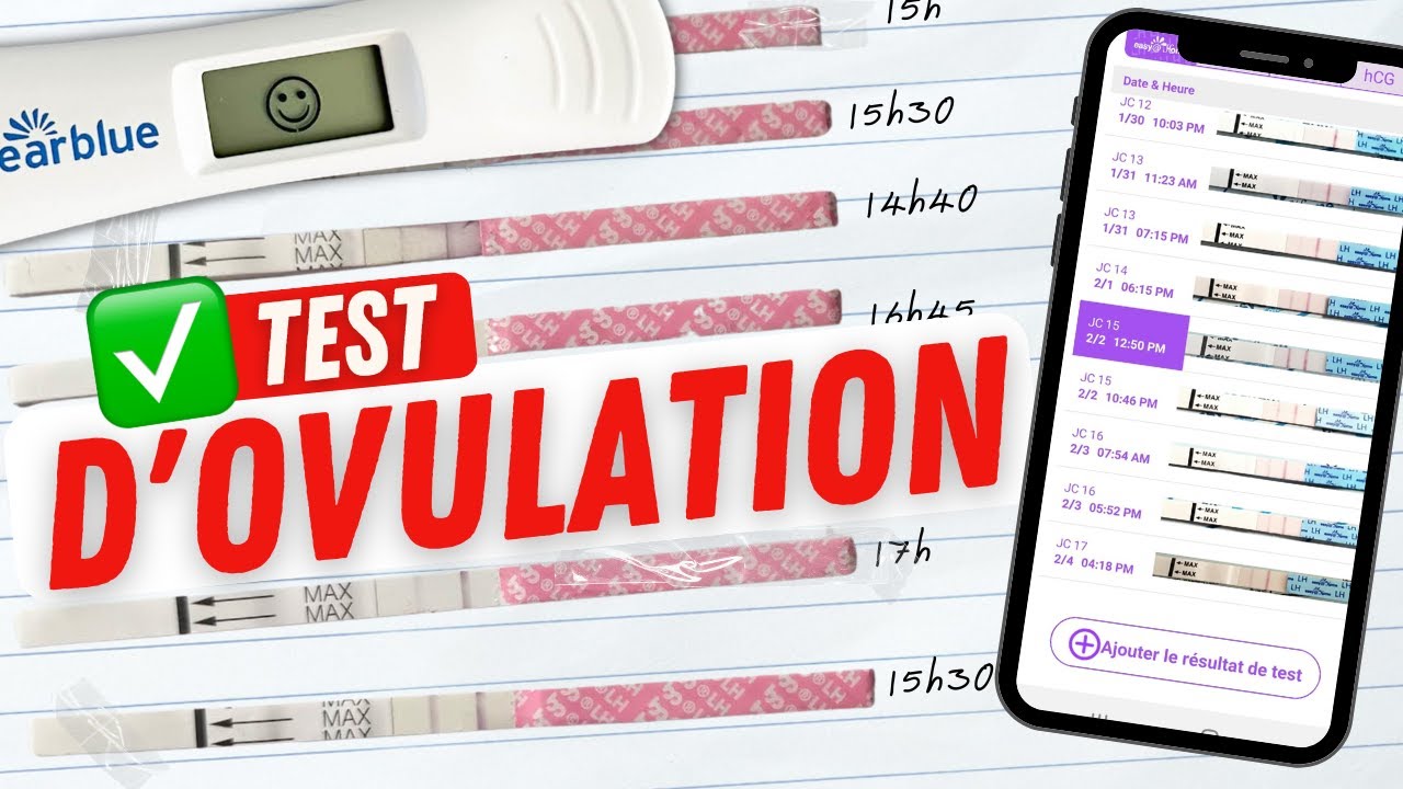 TEST D'OVULATION : comment ça marche ?
