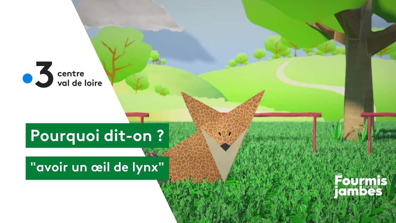 Pourquoi dit-on : avoir un œil de lynx !
