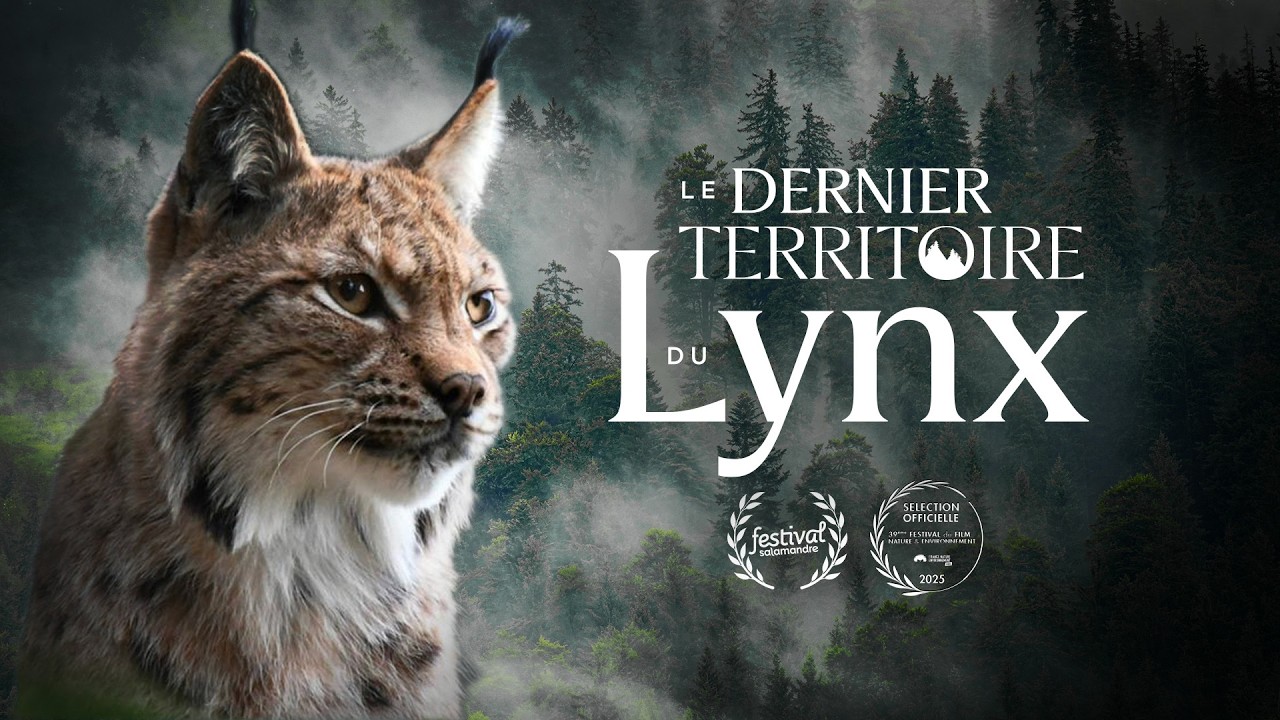 Le Dernier Territoire du Lynx - LE FILM 4K