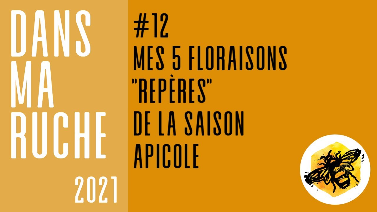 Saison apicole : 5 repères de floraisons à connaître