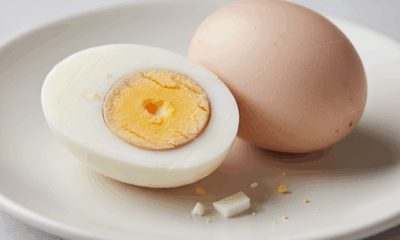 découvrez combien de calories contient un œuf dur et comprenez la valeur énergétique de cet aliment simple, sain et nutritif pour mieux équilibrer votre alimentation.